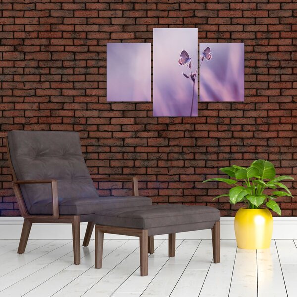 Tablou - Fluturi mov (90x60 cm)