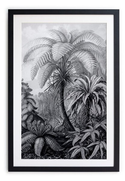 Poster Surdic Palm, 60 x 40 cm, alb - negru