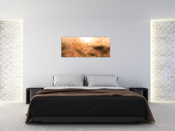 Tablou - Iarbă la soare (120x50 cm)