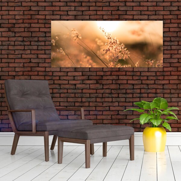 Tablou - Iarbă la soare (120x50 cm)