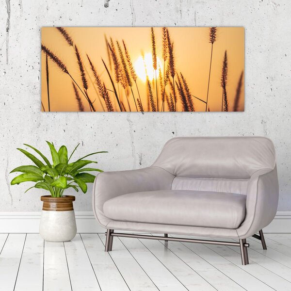 Tablou - Iarbă la soare (120x50 cm)