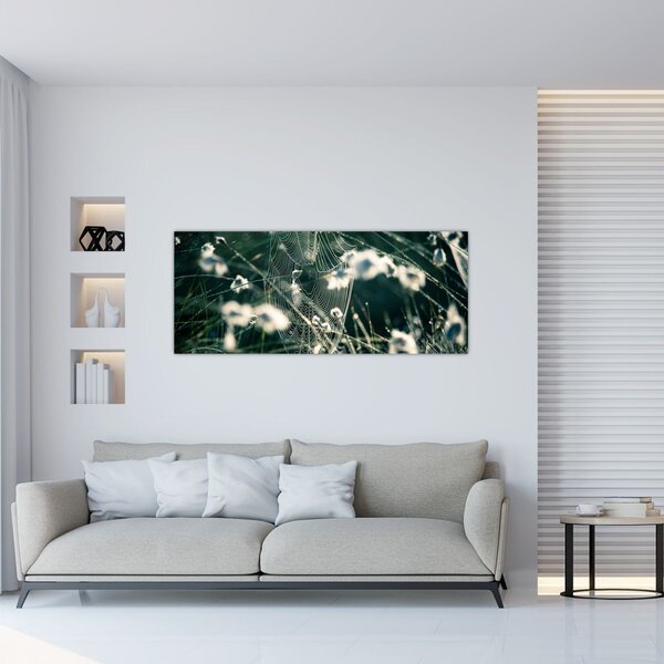 Tablou - Pânză de păianjen (120x50 cm)