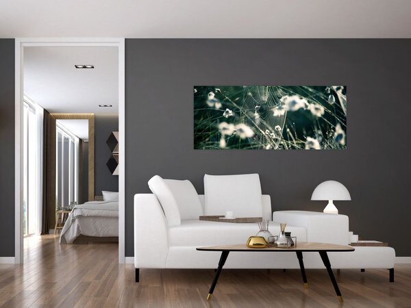 Tablou - Pânză de păianjen (120x50 cm)
