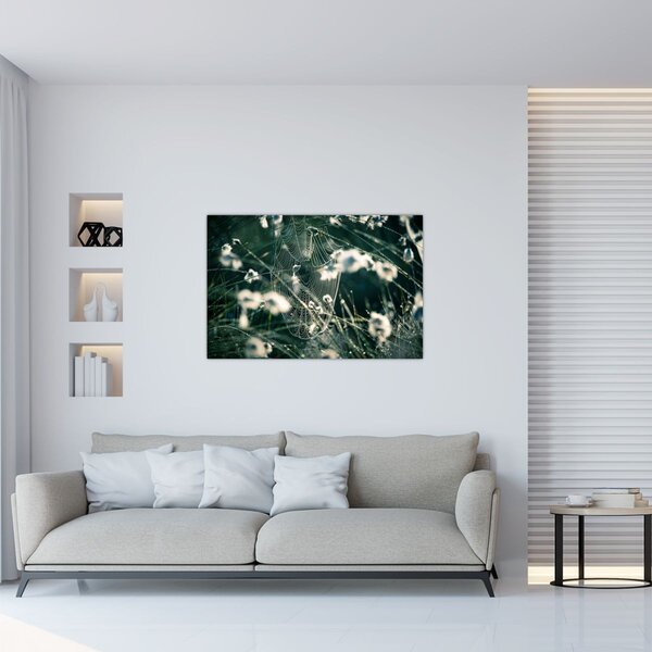 Tablou - Pânză de păianjen (90x60 cm)