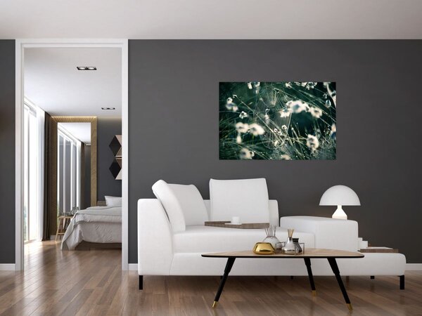 Tablou - Pânză de păianjen (90x60 cm)