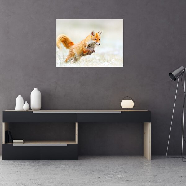 Tablou - Vulpe care sare (70x50 cm)