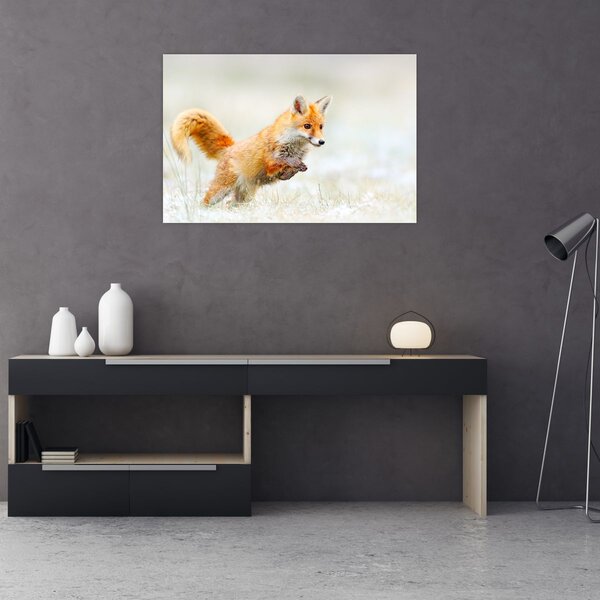 Tablou - Vulpe care sare (90x60 cm)