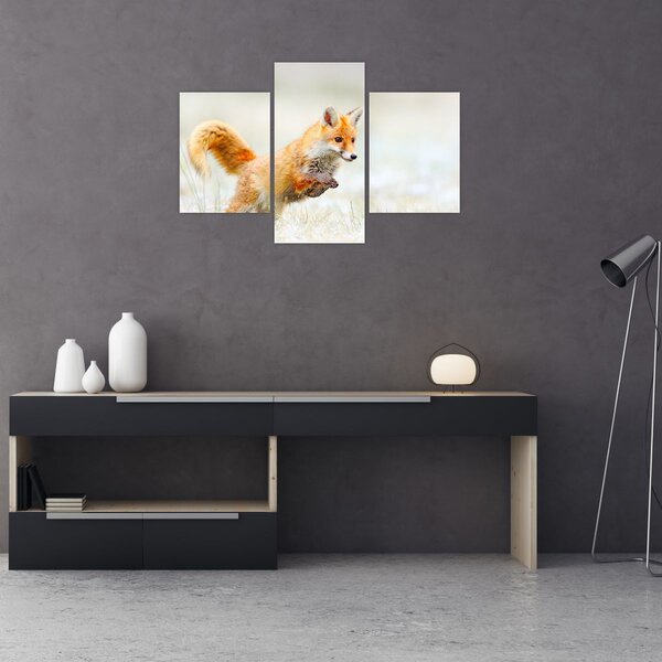 Tablou - Vulpe care sare (90x60 cm)
