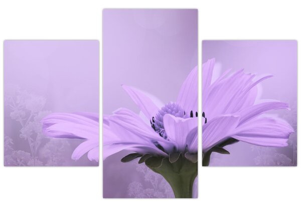 Tablou - Flori mov (90x60 cm)