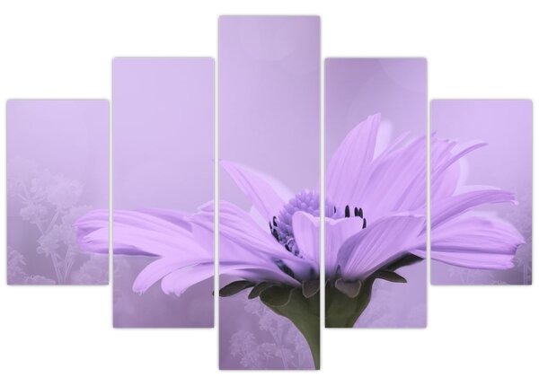 Tablou - Flori mov (150x105 cm)