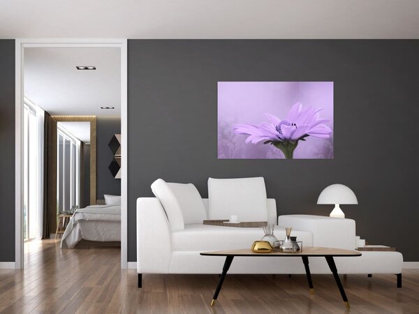 Tablou - Flori mov (90x60 cm)