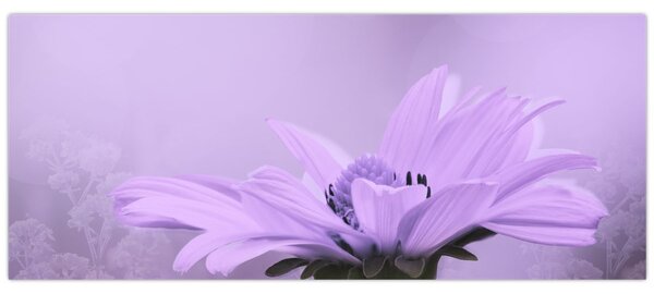 Tablou - Flori mov (120x50 cm)