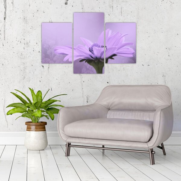 Tablou - Flori mov (90x60 cm)