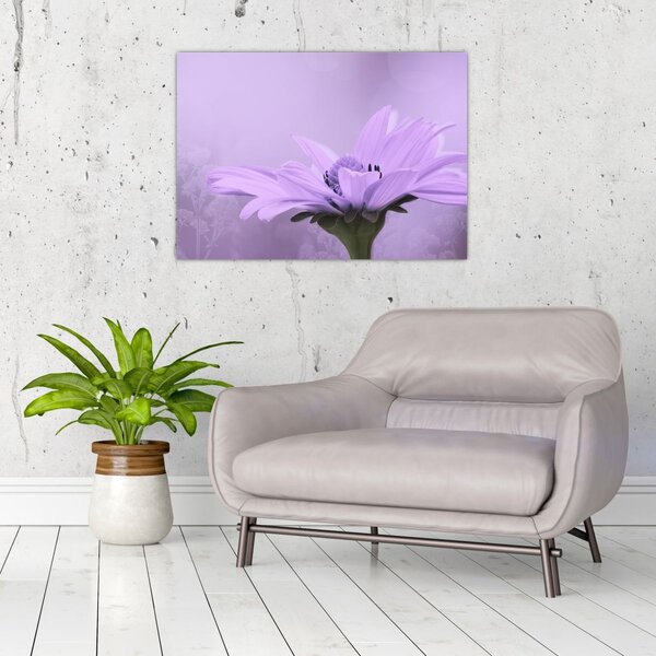Tablou - Flori mov (70x50 cm)
