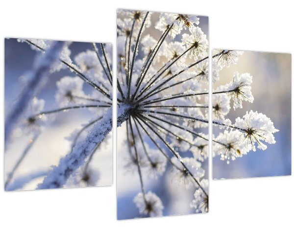 Tablou - Flori înghețate (90x60 cm)