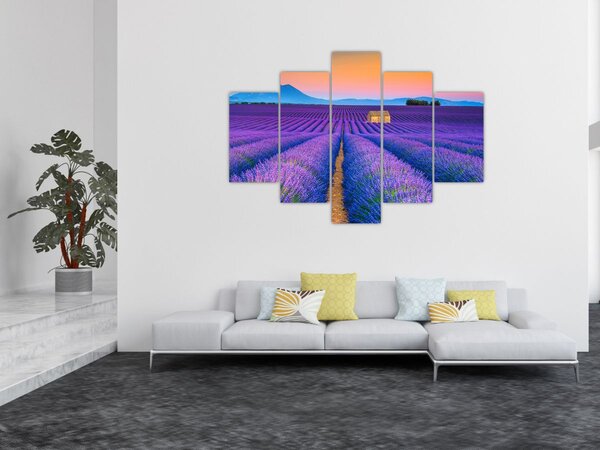 Tablou - Câmp de levănțica (150x105 cm)