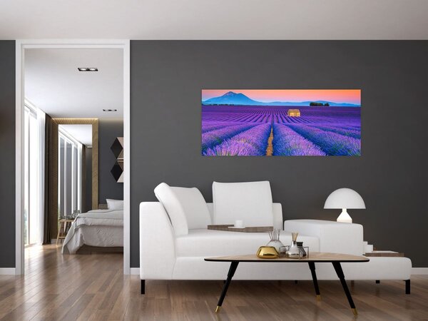 Tablou - Câmp de levănțica (120x50 cm)