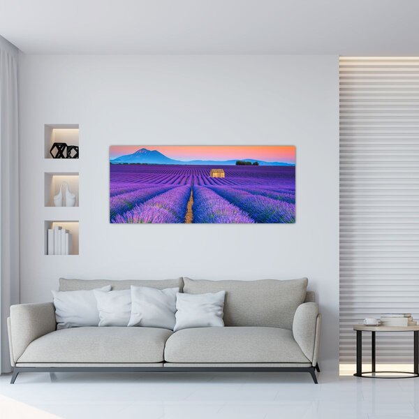 Tablou - Câmp de levănțica (120x50 cm)