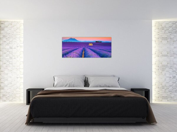 Tablou - Câmp de levănțica (120x50 cm)