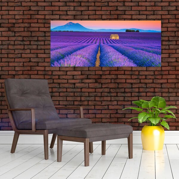 Tablou - Câmp de levănțica (120x50 cm)