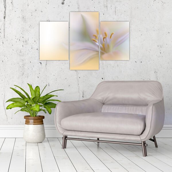Tablou - Floare fragedă (90x60 cm)