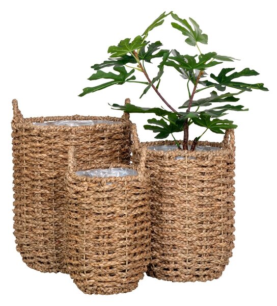 Set 3 piese Cosuri de rachita Hue, Natural, 26x26x32 cm