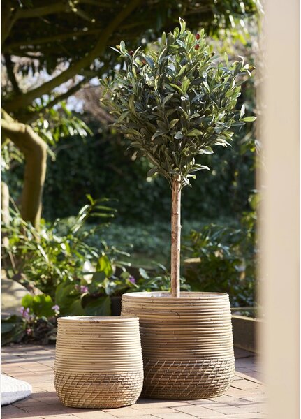 Set 2 piese Cosuri Moro Baskets, Natural, 38x38x34 cm