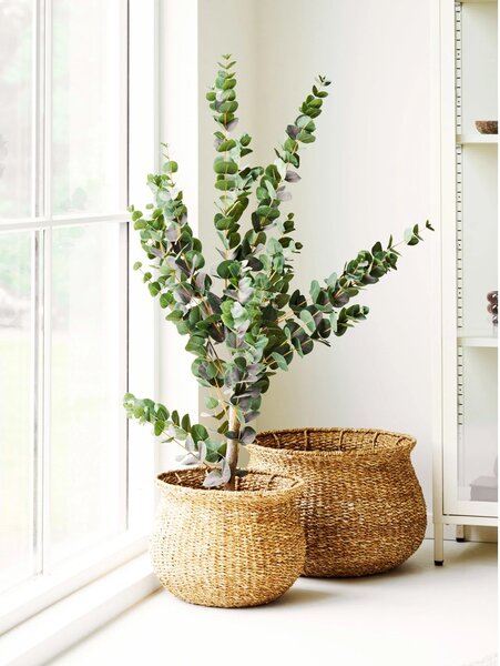 Set 2 piese Cosuri de rachita Eden, Natural, 46x46x30 cm