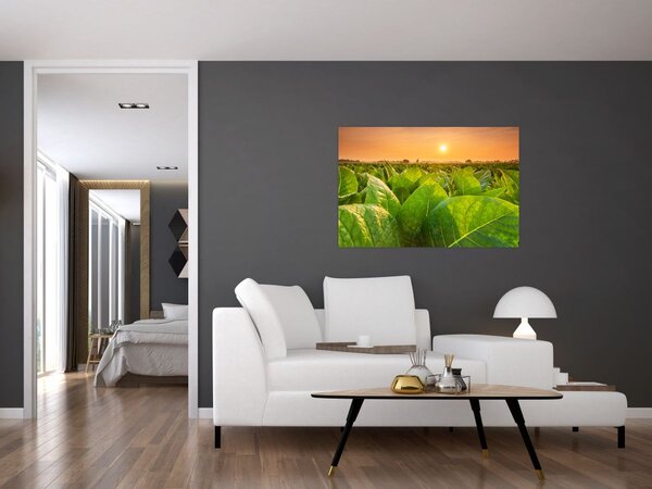 Tablou - Câmp (90x60 cm)