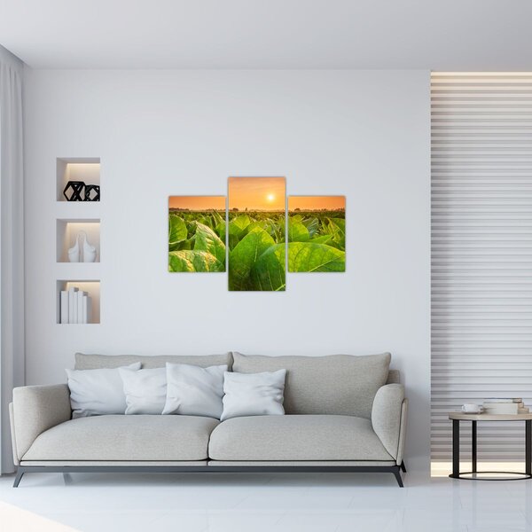Tablou - Câmp (90x60 cm)