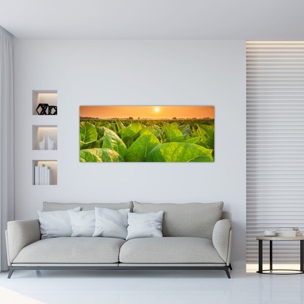 Tablou - Câmp (120x50 cm)