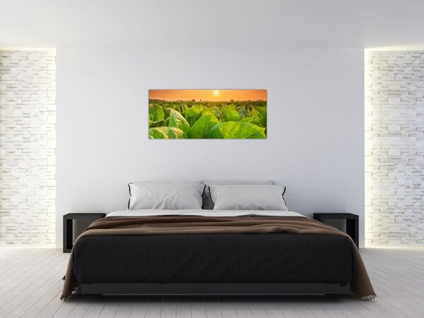 Tablou - Câmp (120x50 cm)