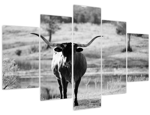 Tablou - Vacă,alb-negru (150x105 cm)