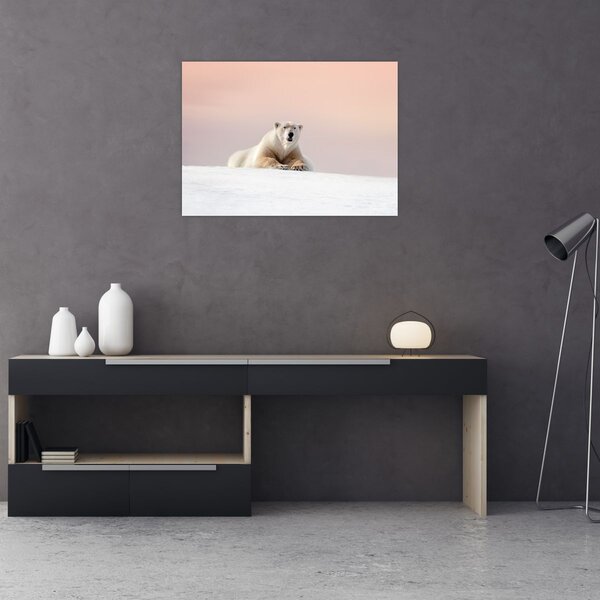 Tablou - Urs polar (70x50 cm)