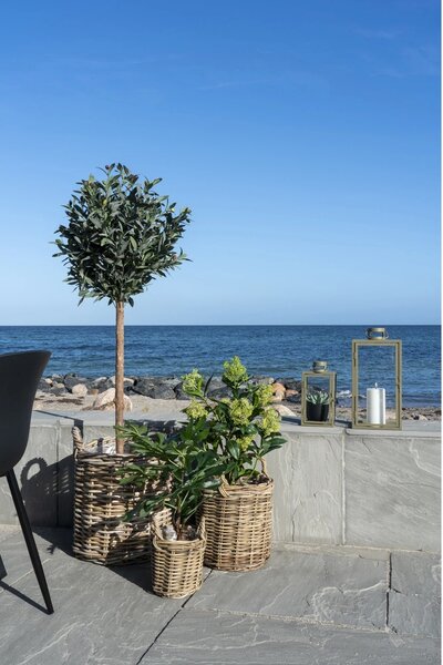 Planta artificiala decorativa Skimmia Skimmia, Verde, 40x40x75 cm