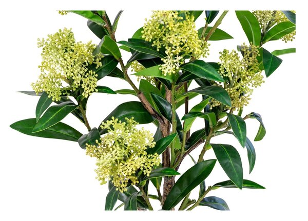 Planta artificiala decorativa Skimmia Skimmia, Verde, 40x40x75 cm