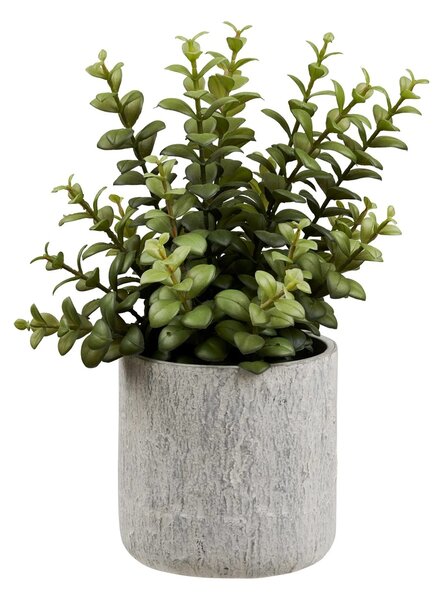 Planta artificiala decorativa Suculenta, Gri, 24x23x33.5 cm