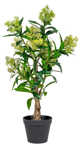 Planta artificiala decorativa Skimmia Skimmia, Verde, 40x40x75 cm