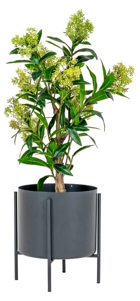 Planta artificiala decorativa Skimmia Skimmia, Verde, 40x40x75 cm