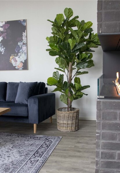 Planta artificiala decorativa Smochin lira, Verde, 81x93x190 cm