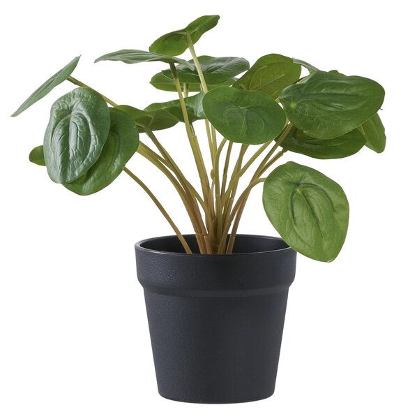 Planta artificiala decorativa Pelia Pelia, Verde, 28x28x14 cm