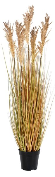 Planta artificiala decorativa Sorghum Sorghum, Natural, 35x30x110 cm