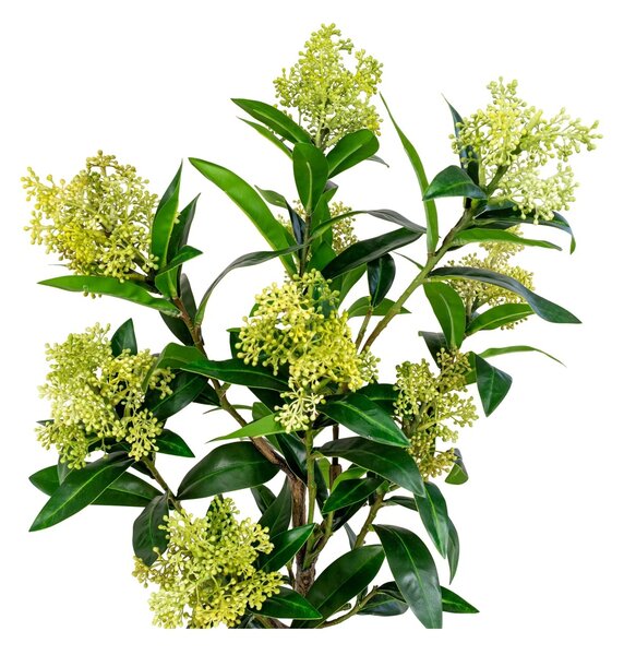 Planta artificiala decorativa Skimmia Skimmia, Verde, 40x40x75 cm