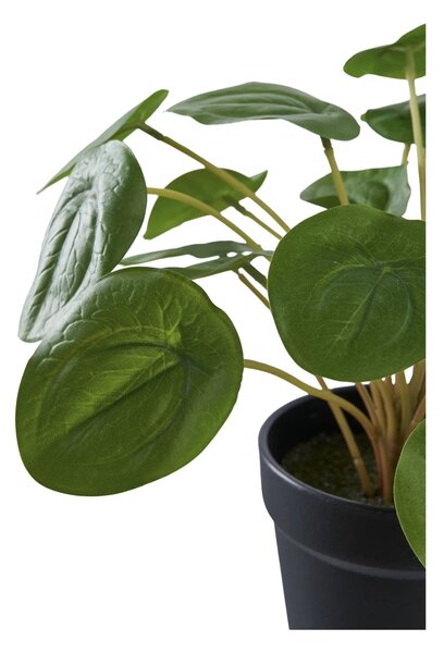 Planta artificiala decorativa Pelia Pelia, Verde, 28x28x14 cm