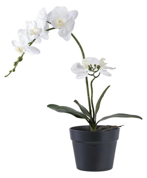 Planta artificiala decorativa Orhidee, Verde, 34x21x47 cm