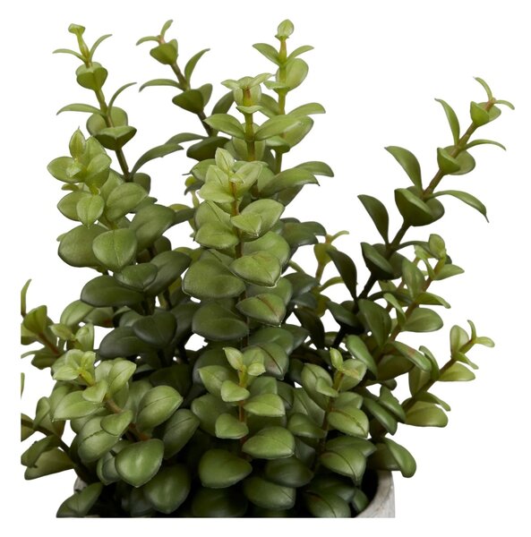 Planta artificiala decorativa Suculenta, Gri, 24x23x33.5 cm