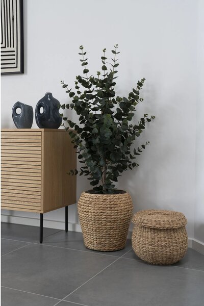 Planta artificiala decorativa Eucalipt, Verde, 36x46x120 cm