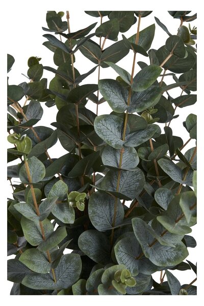 Planta artificiala decorativa Eucalipt, Verde, 36x46x120 cm