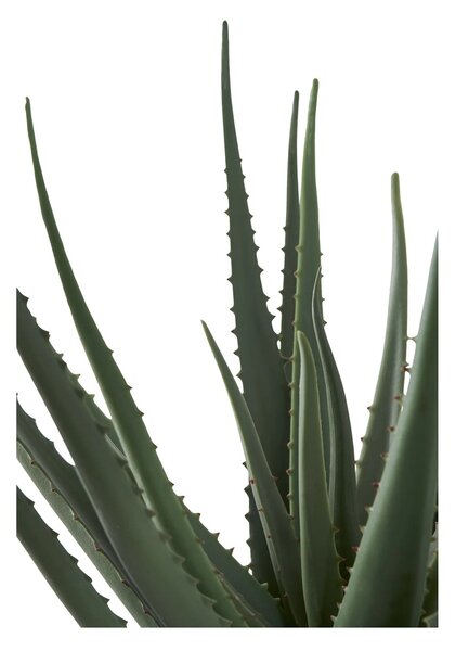 Planta artificiala decorativa Aloe Vera, Verde, 30.5x30.5x51 cm