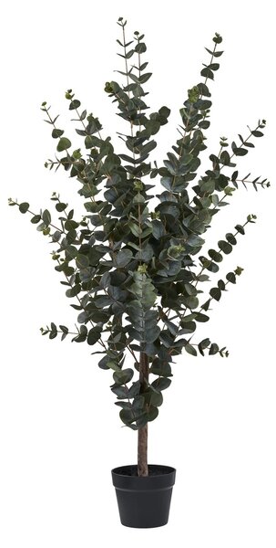 Planta artificiala decorativa Eucalipt, Verde, 36x46x120 cm